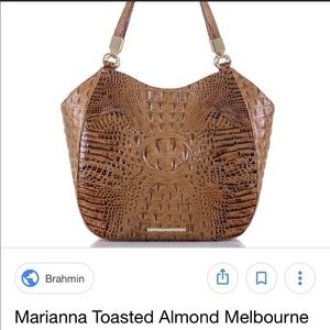 Brahmin Bag! Excellent condition! Gently used!